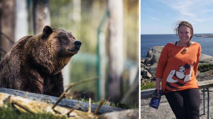 ŞOCANT! Mamă și fiică, sfâșiate de urs. Motivul pentru care animalul le-a atacat