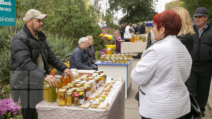 Ce poţi vedea la expozițiile Farmer şi Moldagrotech din Capitală. Vizitatorii spun că preţurile sunt exorbitante (FOTOREPORT)