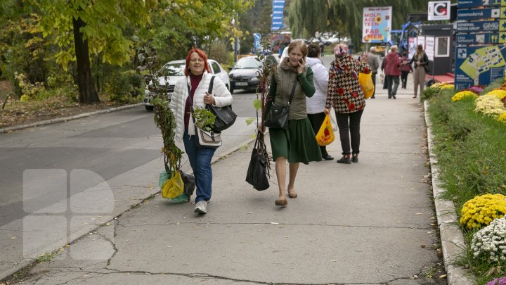 Ce poţi vedea la expozițiile Farmer şi Moldagrotech din Capitală. Vizitatorii spun că preţurile sunt exorbitante (FOTOREPORT)