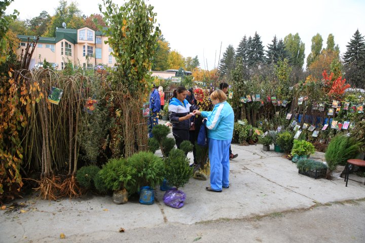 Ce poţi vedea la expozițiile Farmer şi Moldagrotech din Capitală. Vizitatorii spun că preţurile sunt exorbitante (FOTOREPORT)