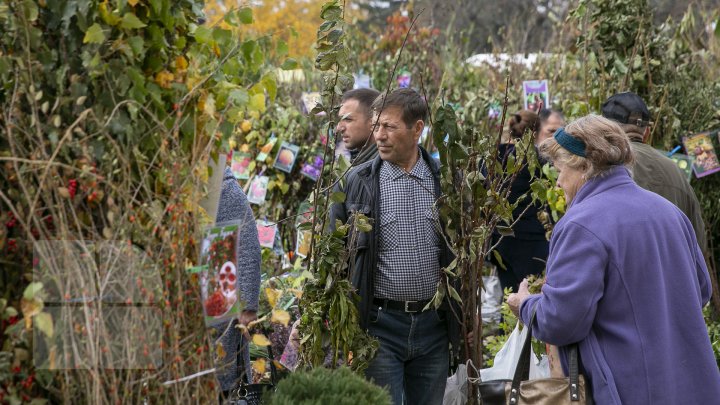 Ce poţi vedea la expozițiile Farmer şi Moldagrotech din Capitală. Vizitatorii spun că preţurile sunt exorbitante (FOTOREPORT)