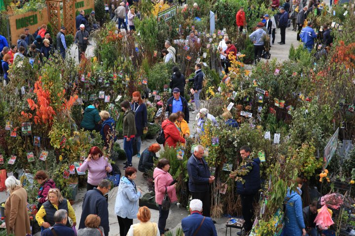 Ce poţi vedea la expozițiile Farmer şi Moldagrotech din Capitală. Vizitatorii spun că preţurile sunt exorbitante (FOTOREPORT)