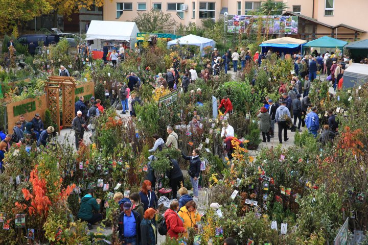 Ce poţi vedea la expozițiile Farmer şi Moldagrotech din Capitală. Vizitatorii spun că preţurile sunt exorbitante (FOTOREPORT)