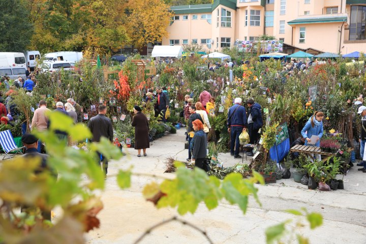 Ce poţi vedea la expozițiile Farmer şi Moldagrotech din Capitală. Vizitatorii spun că preţurile sunt exorbitante (FOTOREPORT)