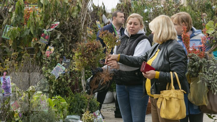 Ce poţi vedea la expozițiile Farmer şi Moldagrotech din Capitală. Vizitatorii spun că preţurile sunt exorbitante (FOTOREPORT)