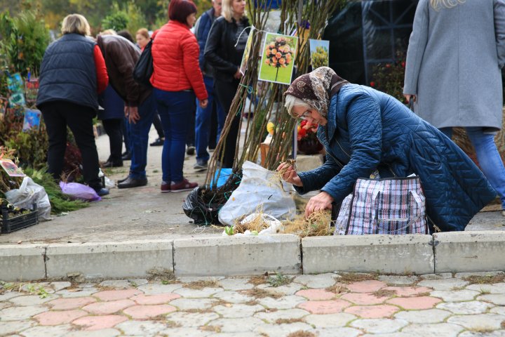 Ce poţi vedea la expozițiile Farmer şi Moldagrotech din Capitală. Vizitatorii spun că preţurile sunt exorbitante (FOTOREPORT)