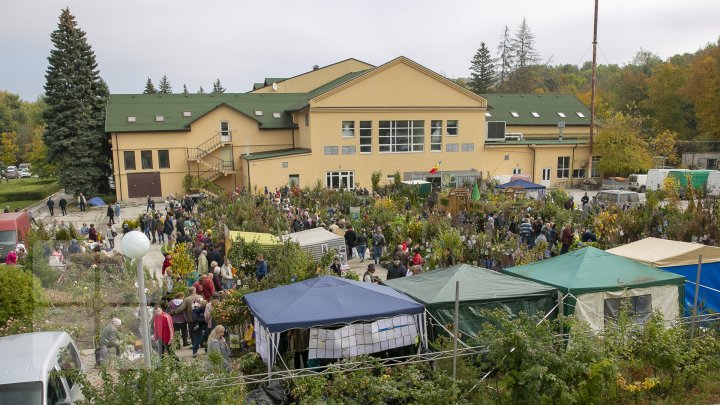 Ce poţi vedea la expozițiile Farmer şi Moldagrotech din Capitală. Vizitatorii spun că preţurile sunt exorbitante (FOTOREPORT)