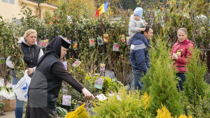 Ce poţi vedea la expozițiile Farmer şi Moldagrotech din Capitală. Vizitatorii spun că preţurile sunt exorbitante (FOTOREPORT)