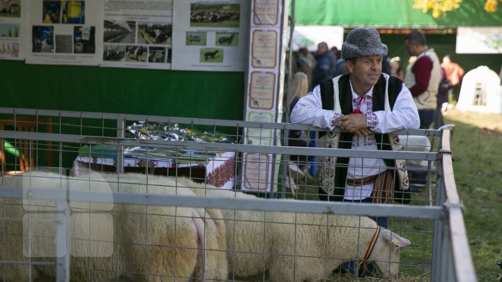 Ce poţi vedea la expozițiile Farmer şi Moldagrotech din Capitală. Vizitatorii spun că preţurile sunt exorbitante (FOTOREPORT)