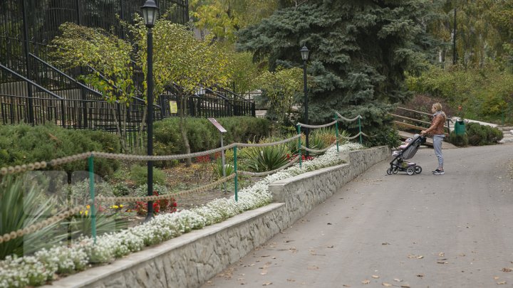 Animalele de la Grădina Zoologică din Capitală, gata de iarnă. Cele mai tolerante specii la frig (FOTOREPORT)