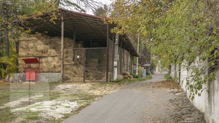 FOTOREPORT MARCA PUBLIKA.MD Toamna în Grădina Zoologică 