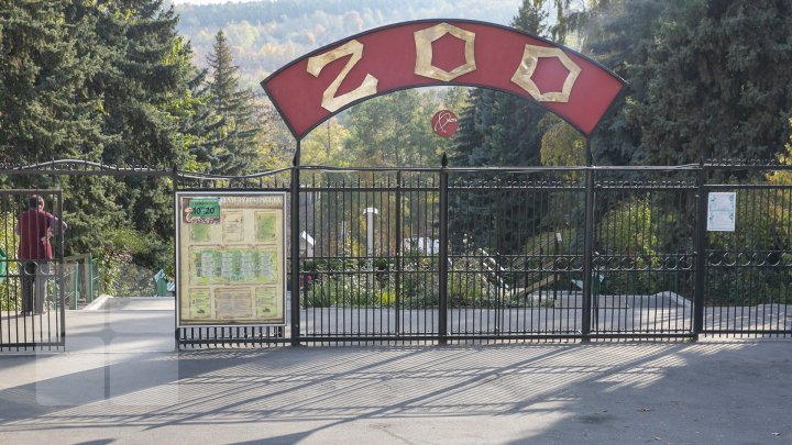 FOTOREPORT MARCA PUBLIKA.MD Toamna în Grădina Zoologică 