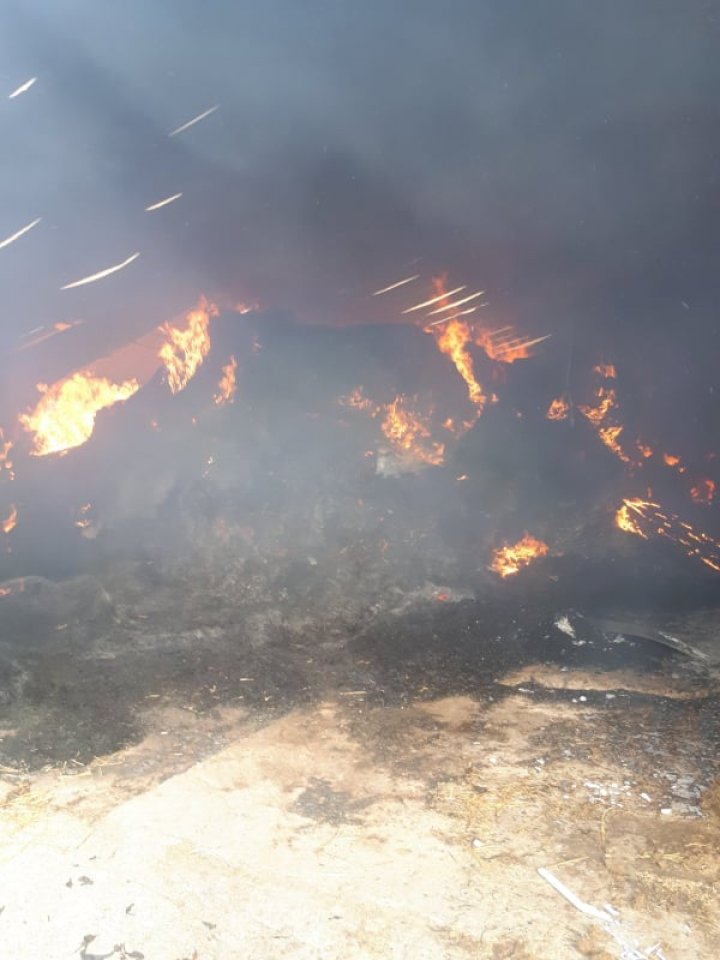 INCENDIU de PROPORŢII la o fermă de vaci din raionul Orhei. Cel puţin 70 de bovine au murit (VIDEO)