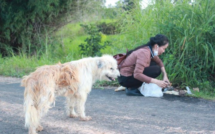 Povestea emoţionantă al unui câine pierdut, care şi-a așteptat stăpânii în același loc, timp de patru ani (FOTO)