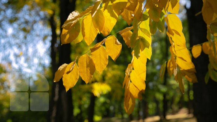 METEO 27 octombrie 2019: Cer predominant noros în toată ţara. Câte grade vor indica termometrele 