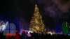 Pomul de Crăciun din Capitală va fi inaugurat pe 1 decembrie. Vezi programul festivităţilor pentru sărbătorile de iarnă