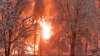 FURIA NATURII. Momentul în care copaci înghețați iau foc (VIDEO)