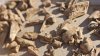 În nordul Israelului au fost descoperiți dinţi vechi de 40.000 de ani
