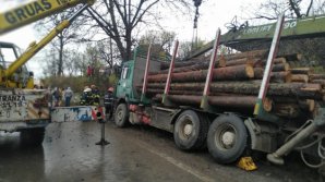 Moarte cumplită. O femeie din România a fost strivită de un camion ce ducea lemne