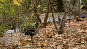 METEO 4 noiembrie: Începem săptămâna cu vreme frumoasă. Care vor fi maximele termice