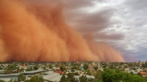 O furtună puternică a făcut ravagii în statul american Arizona. Zeci de copaci, doborâţi