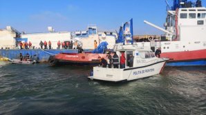 Au fost salvate 70 de animale de pe nava cu peste 14.000 de oi răsturnată în portul Midia. Operaţiunea continuă