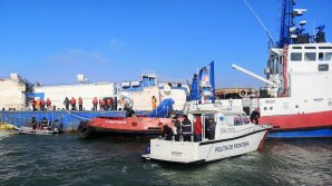 Au fost evacuate 119 animale vii de pe nava eşuată în Constanţa