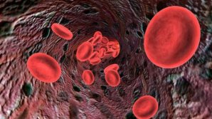 Bine de știut! Acest aliment pe care și tu îl ai în casă te scapă de colesterolul periculos