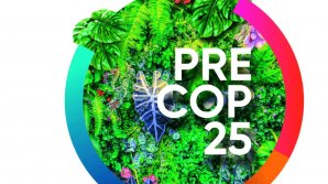 ONU: Summitul COP25 se va desfăşura la Madrid
