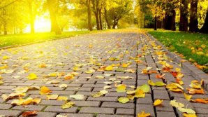 Cum va fi vremea în data de 11 octombrie și ce temperaturi ne așteaptă  