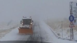 Natura se dezlănţuie în România. Vântul a smuls copaci, iar stratul de zăpadă a fost de 25 de cm