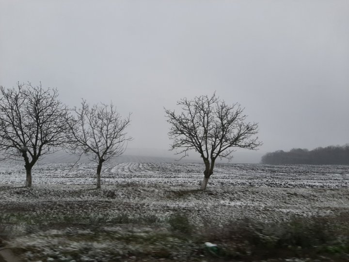 VINE IARNA! În nordul ţării au căzut primii fulgi (FOTO/VIDEO)