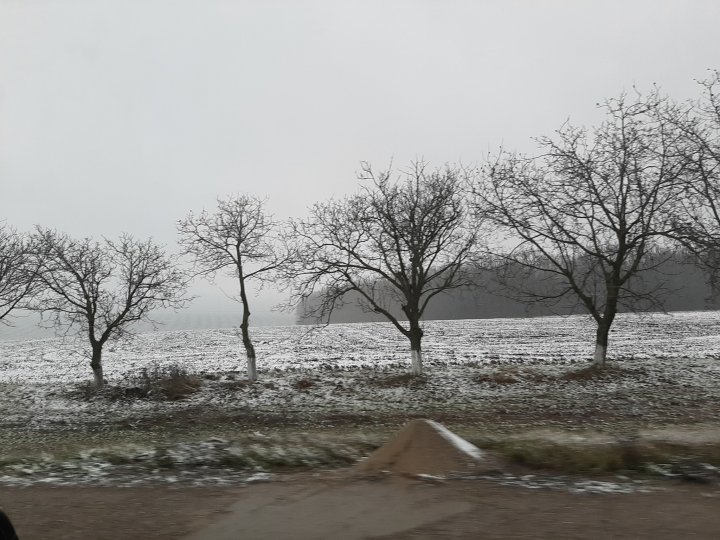 VINE IARNA! În nordul ţării au căzut primii fulgi (FOTO/VIDEO)