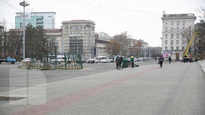 MAGIA sărbătorilor de iarnă. A început instalarea POMULUI de CRĂCIUN în PMAN (VIDEO/FOTO)