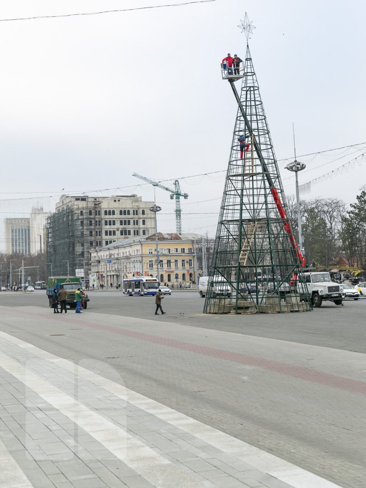 Chişinăul se pregăteşte de sărbătorile de iarnă. Muncitorii au instalat Pomul de Crăciun în PMAN (FOTOREPORT)