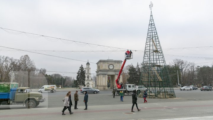 Chişinăul se pregăteşte de sărbătorile de iarnă. Muncitorii au instalat Pomul de Crăciun în PMAN (FOTOREPORT)