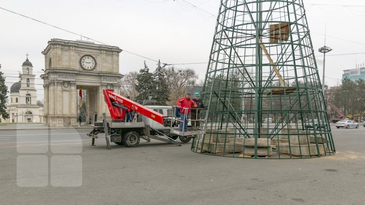 Chişinăul se pregăteşte de sărbătorile de iarnă. Muncitorii au instalat Pomul de Crăciun în PMAN (FOTOREPORT)