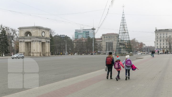 Chişinăul se pregăteşte de sărbătorile de iarnă. Muncitorii au instalat Pomul de Crăciun în PMAN (FOTOREPORT)