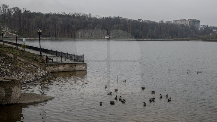 METEO 11 decembrie 2019: Vor cădea precipitaţii sub formă de lapoviţă