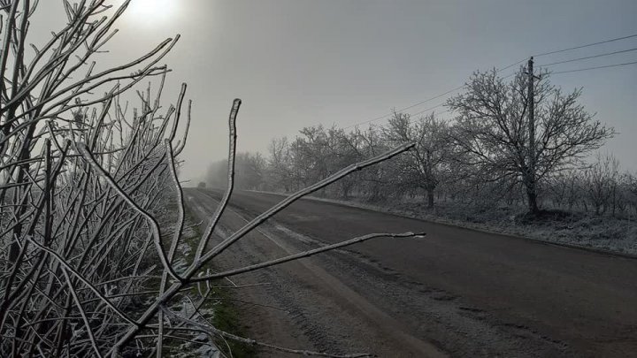 PEISAJ DE IARNĂ la Soroca. Copaci îngheţaţi şi zăpadă (FOTO)