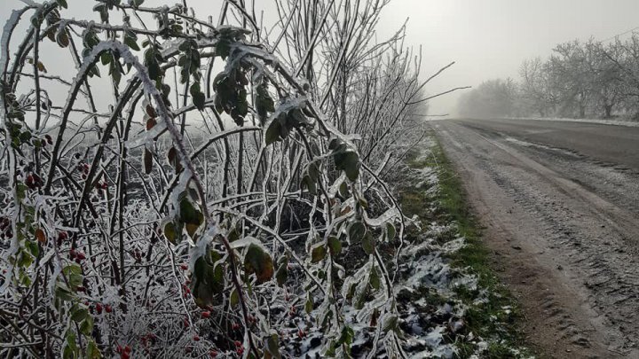 PEISAJ DE IARNĂ la Soroca. Copaci îngheţaţi şi zăpadă (FOTO)