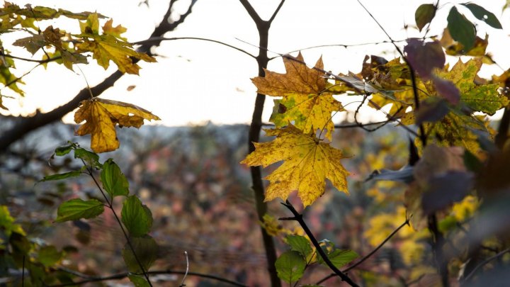 METEO 24 noiembrie. Ce temperaturi se aşteaptă în ţară