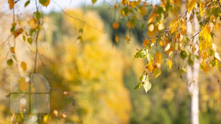 Record de temperatură în Moldova. Nu a mai fost atât de cald în această perioadă a anului din 1997