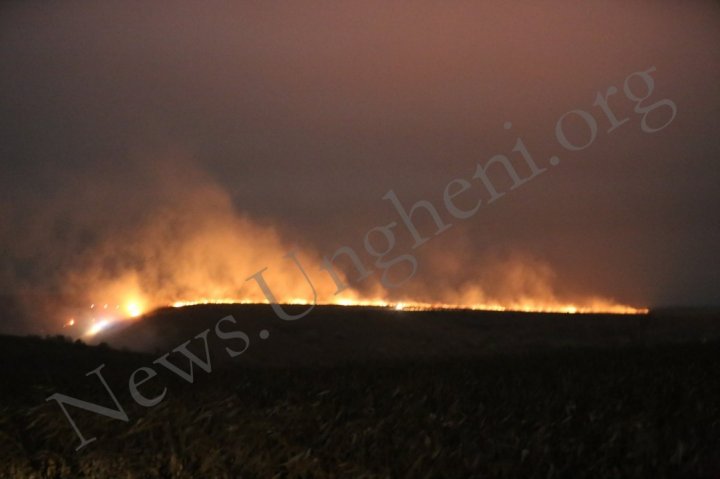 NOAPTE ALBĂ pe şoseaua Sculeni-Ungheni. A izbucnit un INCENDIU puternic (VIDEO/FOTO)