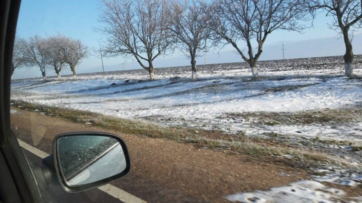 PEISAJ DE IARNĂ la Soroca. Copaci îngheţaţi şi zăpadă (FOTO)