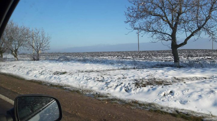 PEISAJ DE IARNĂ la Soroca. Copaci îngheţaţi şi zăpadă (FOTO)