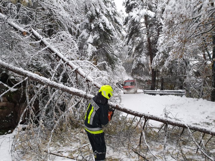 NINGE ABUNDENT în Italia. Drumuri blocate şi copaci prăbuşiţi (VIDEO/FOTO)