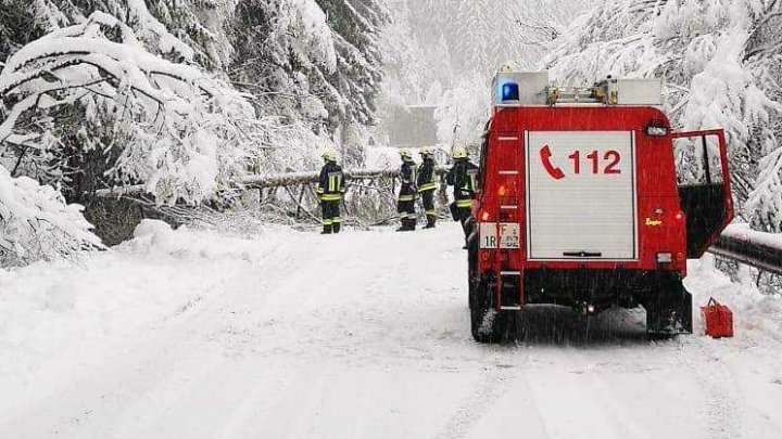 NINGE ABUNDENT în Italia. Drumuri blocate şi copaci prăbuşiţi (VIDEO/FOTO)