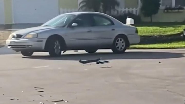 Șocant! Un câine, rămas singur în mașină, a pornit autovehicului și a mers timp de o oră