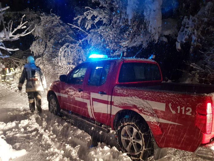 NINGE ABUNDENT în Italia. Drumuri blocate şi copaci prăbuşiţi (VIDEO/FOTO)